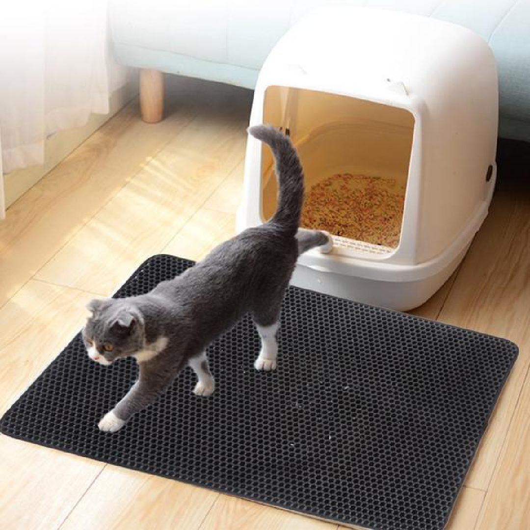 https://www.novelbuys.com/cdn/shop/products/double-layer-waterproof-cat-litter-mat-novel-buys_955.png?v=1570144111