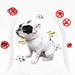 Electronic Lice Comb for Cats Dogs