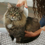 Electronic Lice Comb for Cats Dogs